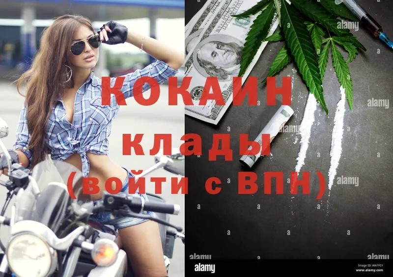 купить закладку  Камызяк  Cocaine Боливия 